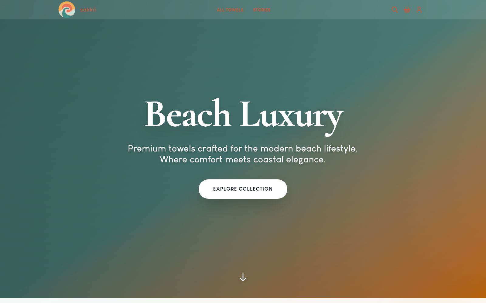 Sakkii case study screenshot